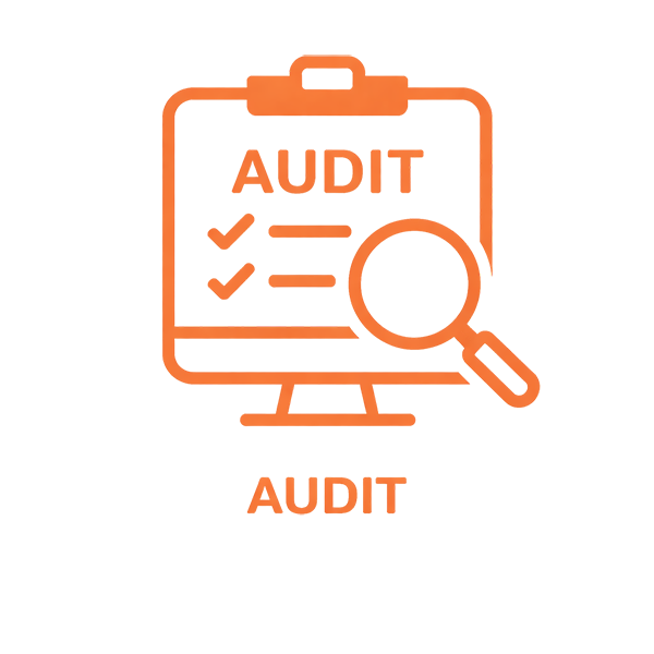 Audit Icon - Amazon Consulting Agency Audit